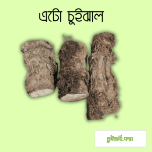 এটো চুইঝাল